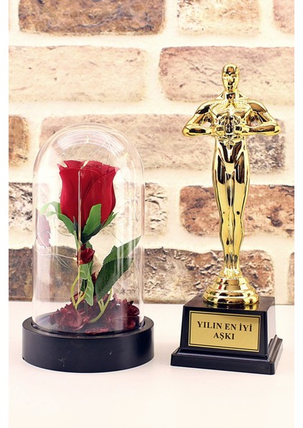 Yılın En Iyi Aşkı Oscar Ödülü ve LED Işıklı Fanus Gül Seti modelleri
