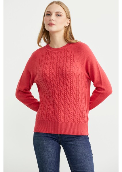 Motifli Daire Yaka Triko Kazak - Gül fiyatları