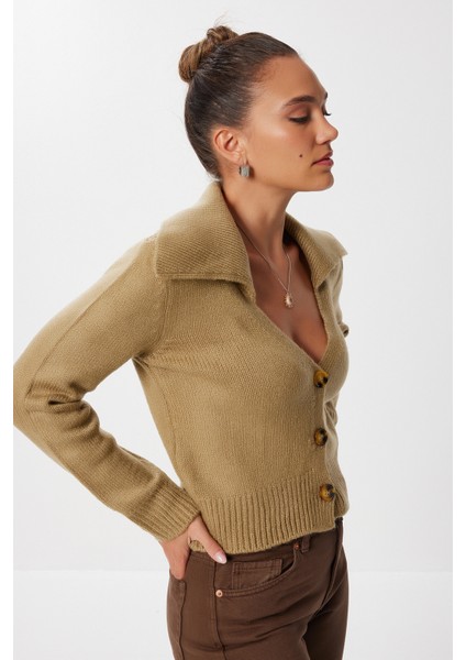 Polo Yaka Düğmeli Triko Hırka LMT0034 Zeytin Yeşili fiyatları