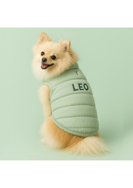 Isme Özel Köpek Yeleği Isimli Anorak Yelek Puf Köpek Kıyafeti I Küçük ve Orta Irklar