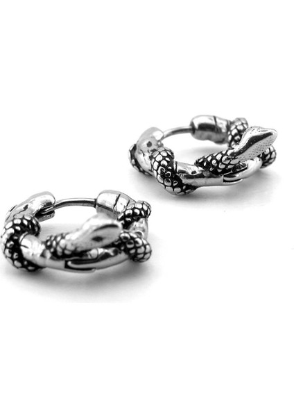 Yılan Sarılı Gotik Tasarım Paslanmaz Çelik Unisex Kadın Erkek Küpe ER194 fiyatları