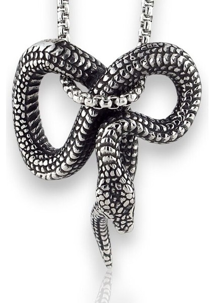 Kıvrılmış Yılan Gotik Tasarım Güç Sembol Titanyum Çelik Erkek Kolye Q0971
