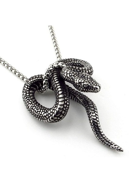 Kıvrılmış Yılan Gotik Tasarım Güç Sembol Titanyum Çelik Erkek Kolye Q0971 fiyatları