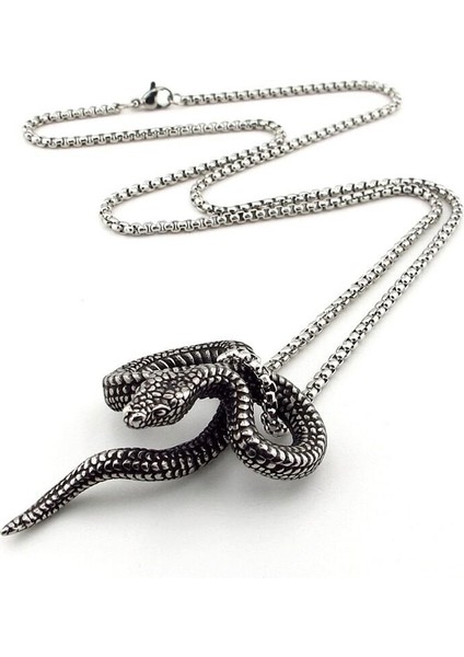 Kıvrılmış Yılan Gotik Tasarım Güç Sembol Titanyum Çelik Erkek Kolye Q0971 modelleri