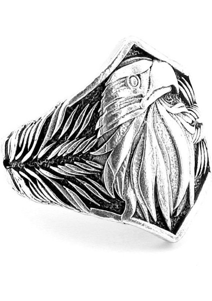 Kabartma Kartal Yırtıcı Kuş Pirinç Ayarlanabilir Erkek Yüzük RG076 modelleri