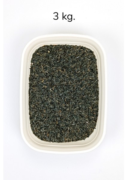 Nijer Tohumu Doğal Taze Takviye Kuş Yemi - 3 kg