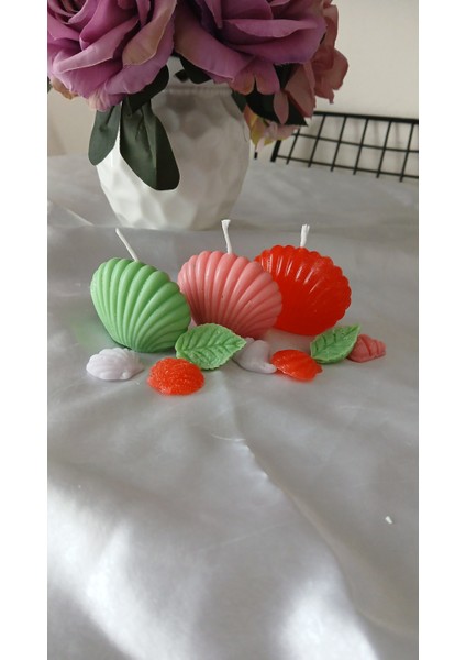 10 Adet Istiridye Hediyelik Mum