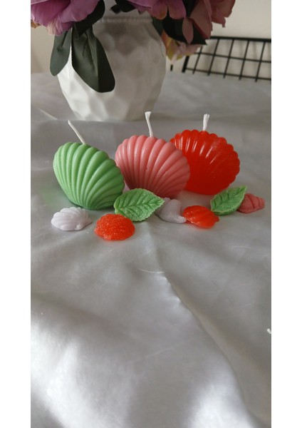 10 Adet Istiridye Hediyelik Mum fiyatları