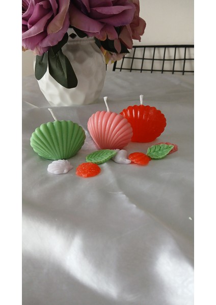 10 Adet Istiridye Hediyelik Mum modelleri