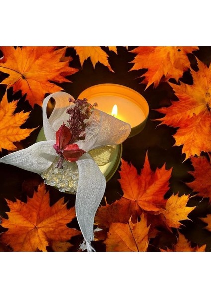 Teneke Mum Vanilya Kokulu Autumn Touch Mum