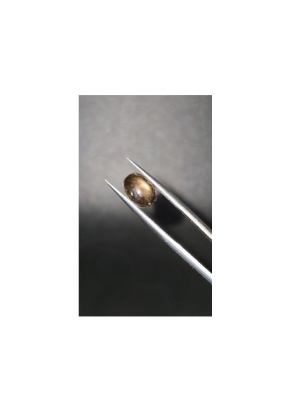 3.81CT 9.9x7.3mm Oval Natural 6 Ray Star Sapphire Unheated