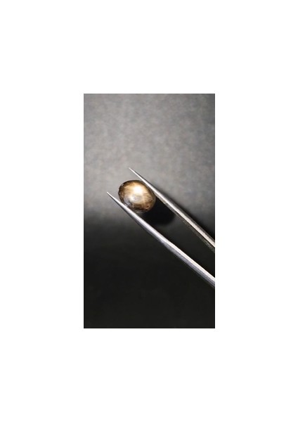 4.83CT 11.6x9.5mm Oval Natural 6 Ray Star Sapphire Unheated