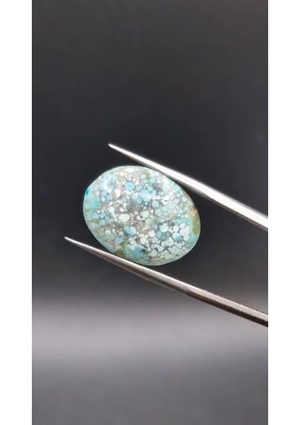 11.30CT 20.7X15.8MM Oval Natural Tibetian Turquase