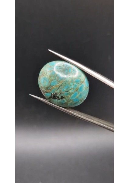 23.80CT 25.1X21.4MM Oval Natural Tibetian Turquase