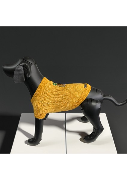 Kedi ve Köpek Için Ananaslı Sarı Pul Payet Kazak modelleri