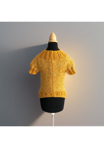 Kedi ve Köpek Için Ananaslı Sarı Pul Payet Kazak fırsatları