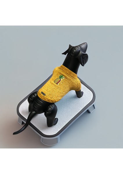 Kedi ve Köpek Için Ananaslı Sarı Pul Payet Kazak indirimleri