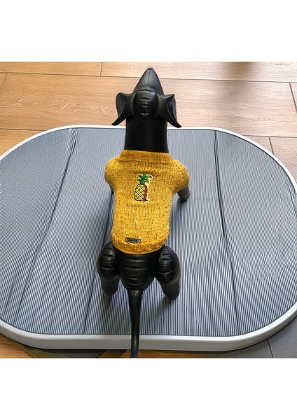 Kedi ve Köpek Için Ananaslı Sarı Pul Payet Kazak