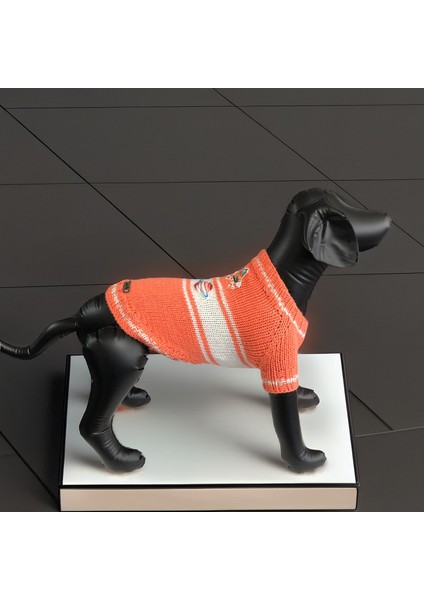 Kedi ve Köpek Için Uzay Temalı Turuncu Kazak modelleri