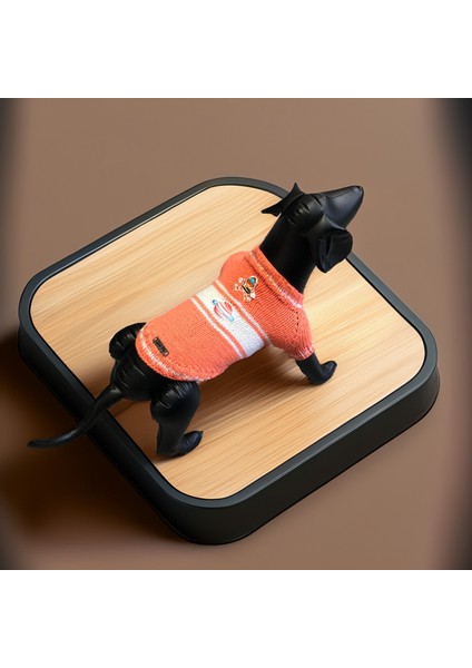 Kedi ve Köpek Için Uzay Temalı Turuncu Kazak