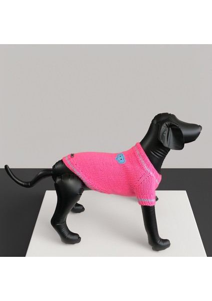 Kedi ve Köpek Için Kekli Fil Pembe Kazak modelleri