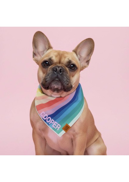 Isme Özel Köpek Bandana Isimli Köpek Fular Kişiselleştirilebilir Köpek Bandanası (Gökkuşağı Desenli) fiyatları