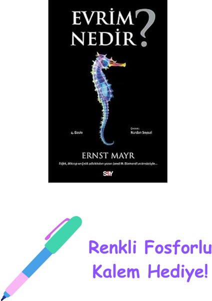 Evrim Nedir? + Renkli Fosforlu Kalem