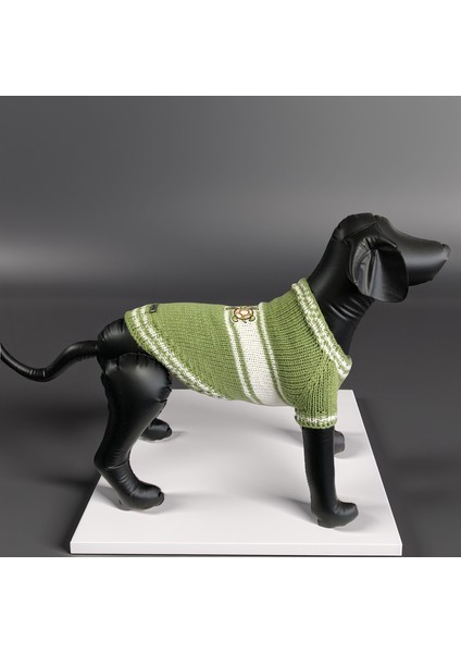 Kedi ve Köpek Için Kaplumbağalı Yeşil Kazak modelleri