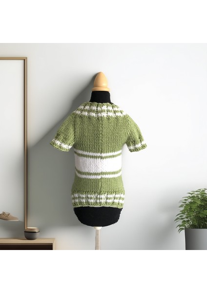 Kedi ve Köpek Için Kaplumbağalı Yeşil Kazak fırsatları