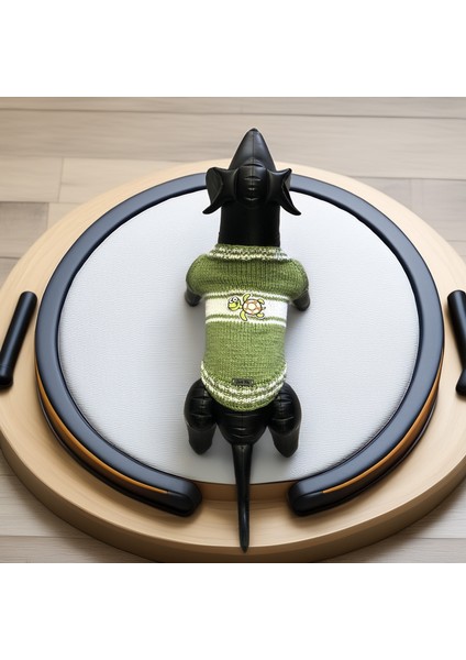 Kedi ve Köpek Için Kaplumbağalı Yeşil Kazak