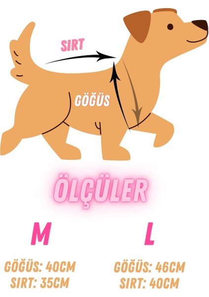 Kedi ve Köpek Için Kaplumbağalı Yeşil Kazak