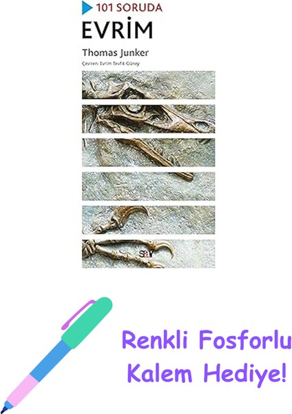 101 Soruda Evrim + Renkli Fosforlu Kalem