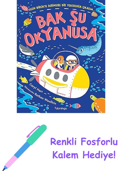 Bak Şu Okyanusa + Renkli Fosforlu Kalem