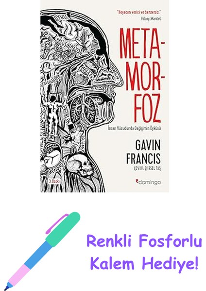 Metamorfoz: Insan Vücudunda Değişimin Öyküsü + Renkli Fosforlu Kalem
