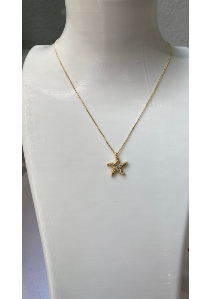 Kararmaz Çelik Deniz Yıldızı Detaylı Gold Kolye