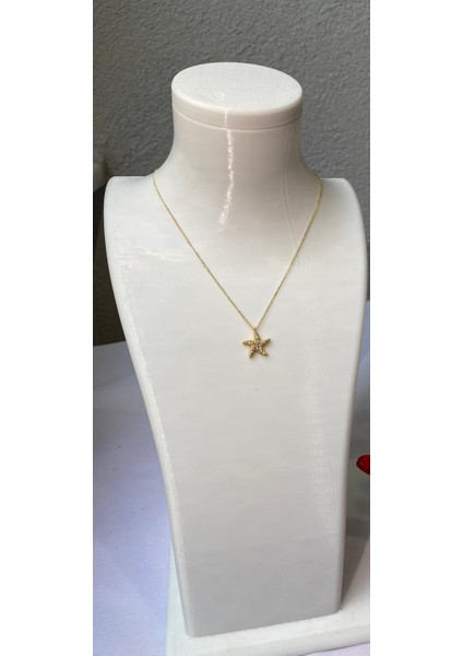 Kararmaz Çelik Deniz Yıldızı Detaylı Gold Kolye fiyatları