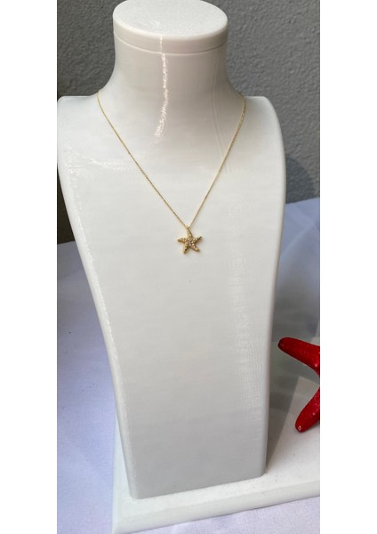 Kararmaz Çelik Deniz Yıldızı Detaylı Gold Kolye fırsatları