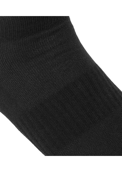 Low Cut Çorap 3'lü Paket Siyah indirimleri