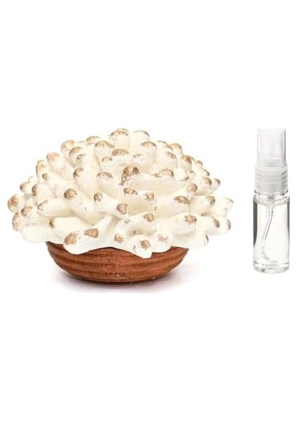 Detaylı Vanilya Sandal Kokulu Büyük Seramik Mercan Taş modelleri