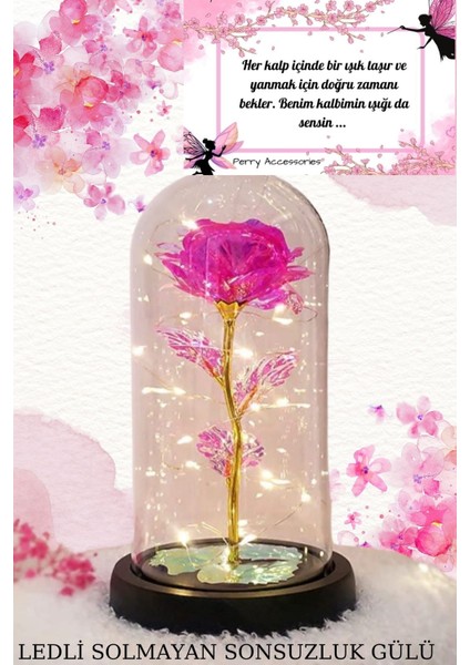Fanus Içerisinde Dekoratif Peri LED Işıklı Kırmızı Solmayan Sonsuzluk Gülü Pembe Galaxy Lamba fiyatları