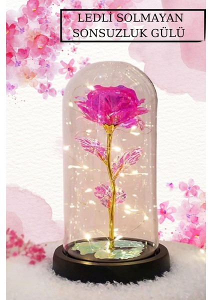Kararmaz Çelik Pembe Kolye Bileklik ve Yüzük Seti ve Işıklı Fanus Pembe Solmayan Gül Sonsuzluk Gül indirimleri