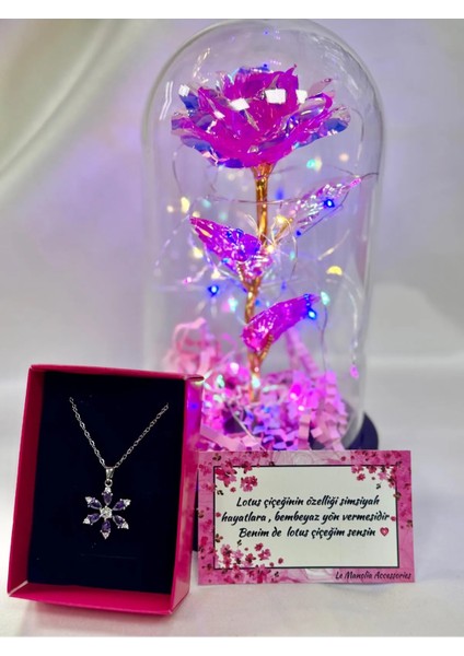 Çelik Lotus Kolye ve Fanus Içerisinde Pembe Solmayan Sonsuzluk Gülü Hediyelik Set