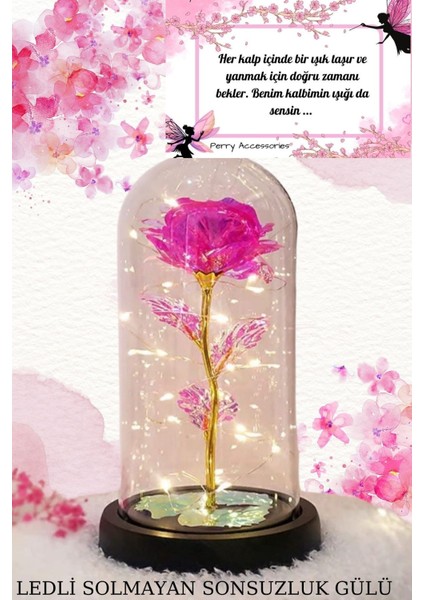 Çelik Lotus Kolye ve Fanus Içerisinde Pembe Solmayan Sonsuzluk Gülü Hediyelik Set fırsatları