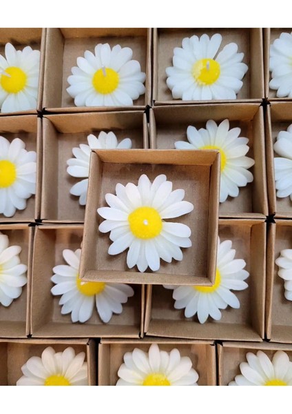 Kararmaz Çelik Yonca Kolye ,çelik Charmlı Bileklik ve Papatya Mum Hediye Seti Anneler Günü Set fırsatları