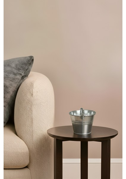 5'li Çok Amaçlı Dekoratif Galvaniz Saksı Kova Seti indirimleri