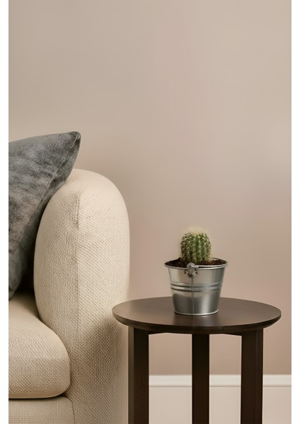 5'li Çok Amaçlı Dekoratif Galvaniz Saksı Kova Seti