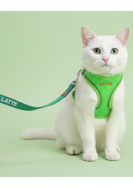 Isme Özel Güvenlik Amaçlı Kaçış Önleyici Kedi Gezdirme Tasması Isimli Kedi Gezdirme Göğüs Tasma Seti