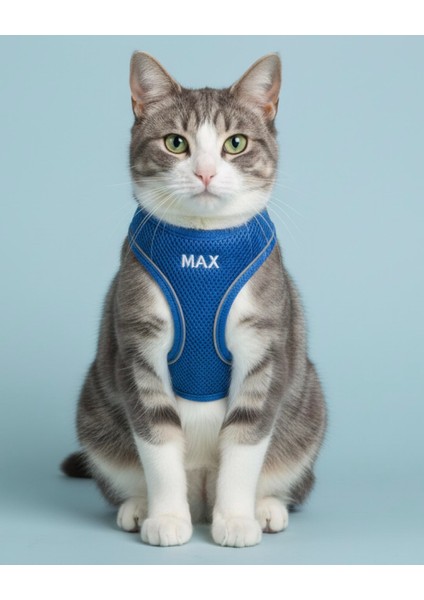 Kişiye Özel Kedi Gezdirme Tasması Airmesh Isimli Kedi Göğüs Tasması Esnek Kedi Tasması