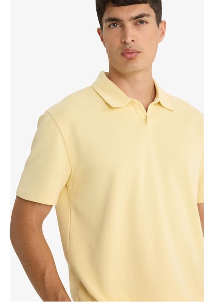 Regular Fit Polo Yaka Kısa Kollu Tişört F8363AX25SM indirimleri