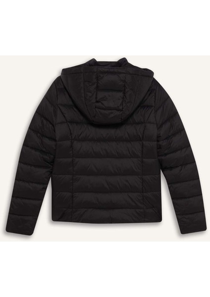 Su Geçirmez Regular Fit Dik Yaka Fermuarlı Şişme Mont E8689AX25AU